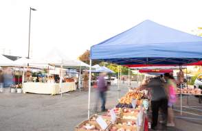 Vendors lined up under white and blue tents selling fruits at the Saline Farmers Market on dark grey pavement lot. Three individuals shop through the market.