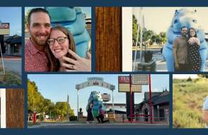 A Blue Hippo Proposal