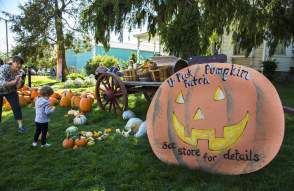 Alber Orchard & Cider Mill