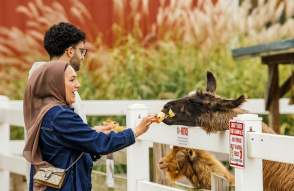 Wiard's Orchards and Country Fair