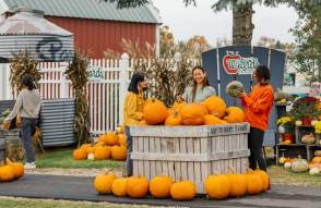 Wiard's Orchards and Country Fair