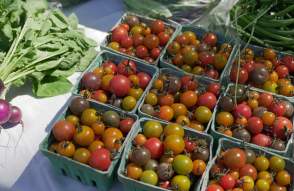 Dixboro Farmers Market