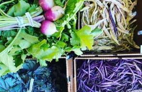 The Produce Station