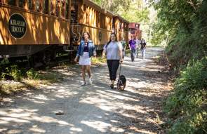 Pet-Friendly Places In York County