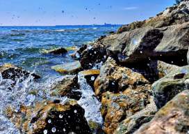 Lake Michigan Shoreline