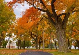 Manitowoc Parks & Recreation