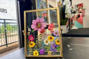 Framed pressed Flower Workshop