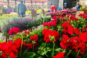 West Allis Farmers Market