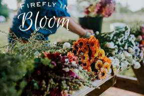 Firefly In Bloom