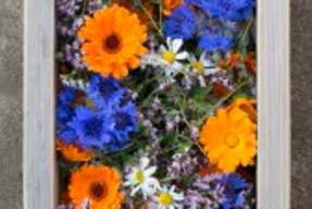 Floral Shadow Box