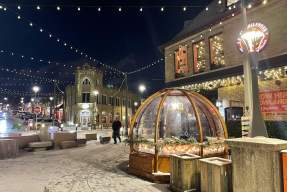 Holiday Sip & Stroll