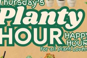 Planty Hour
