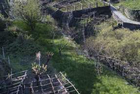 An Evening with the Iconic Rosenthal Wine Merchant - Wauwatosa