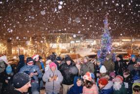 Village Tree Lighting