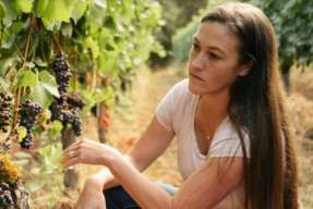 Winemaker Tasting: Penner-Ash Wine Cellars