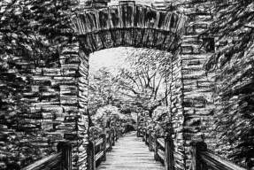 Introduction to Charcoal Drawing