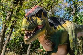 Exploration Dinosaur