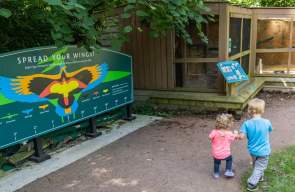 A Photographer Family's Guide to Ann Arbor
