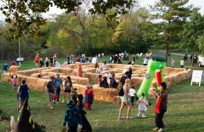 Dublin's Best Seasonal Events & Activities