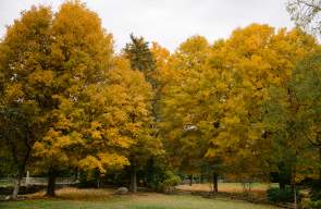 Your Perfect Fall Weekend in Dublin