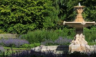 Cheltenham celebrates eight Green Flag awards as Burrow’s Field gains special status