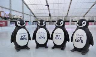 Penguin skate aids at Cheltenham Ice Rink.
