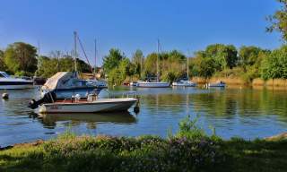 Boats in the harbour