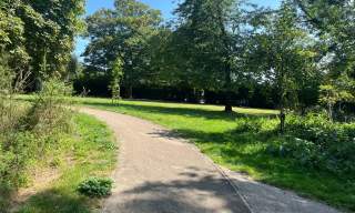 Open green space at Druitt Gardens