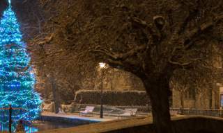 Go Cotswolds Christmas Tours in The Cotswolds