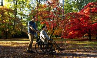 Man pushing another man in a wheelchair over autumn leaves at Westonbirt Arboretum
