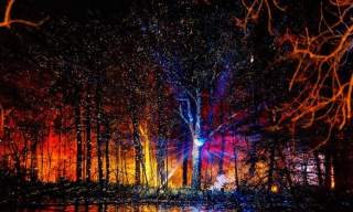 Discover the Magic of Christmas in Coventry: Your Ultimate 2025 Guide