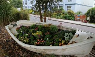 Sidmouth in Bloom