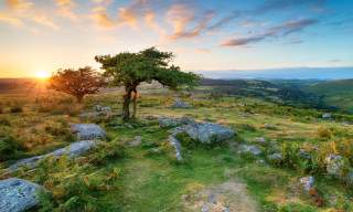 dartmoor blog