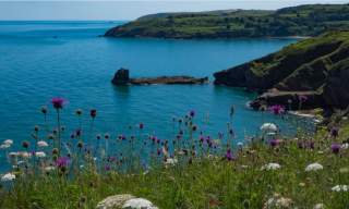 Berry Head English Riviera Geopark