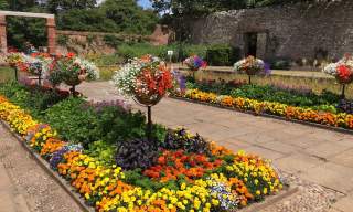 Connaught Gardens