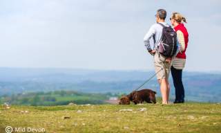 view of The Blackdown Hills Area of Outstanding Natural Beauty