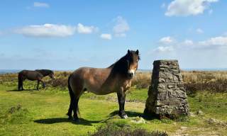Bampton