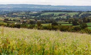 Cullompton landscape