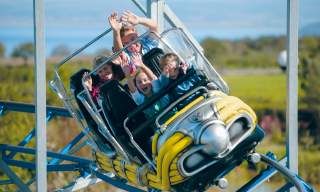 A group of excited people, including children, are enjoying a roller coaster ride. They're smiling, hands raised, surrounded by a sunny, green landscape.