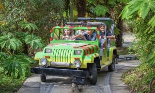 Children ride in a colourful, open-top jungle-themed vehicle on a guided track, surrounded by lush greenery, conveying excitement and adventure.