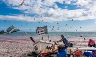 budleigh food and drink