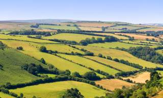 Devon Fact Sheets