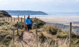 dog walkers at Westward Ho beach, spring, autumn