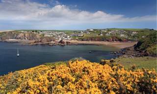 Coastal village with white houses on green hills overlooking a sandy beach. Foreground shows vibrant yellow flowers, under a bright blue sky.