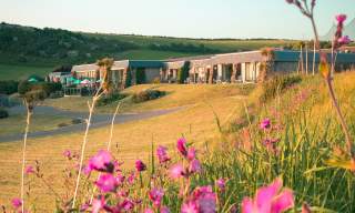 Field with vibrant pink flowers in the foreground, a modern building with a terrace on a lush hillside, and a backdrop of rolling green hills under soft sunlight.