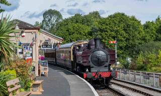 Action-Packed February Half Term at Devon's Top Attractions!