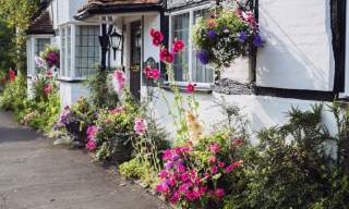 entrance to a white washed cottage with flowers planted at the front