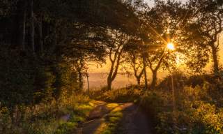 Visit Honiton nestled in nature