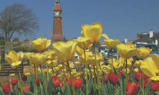 Visit Seaton - east devon's natural capital
