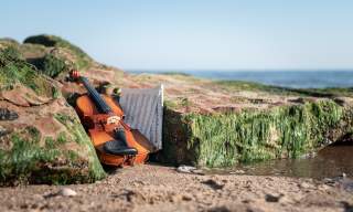 A wave of entertainment will break over North Devon this summer!